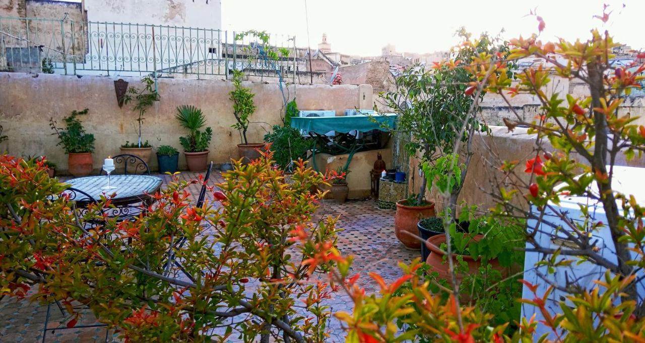 Riad Rchacha フェズ エクステリア 写真