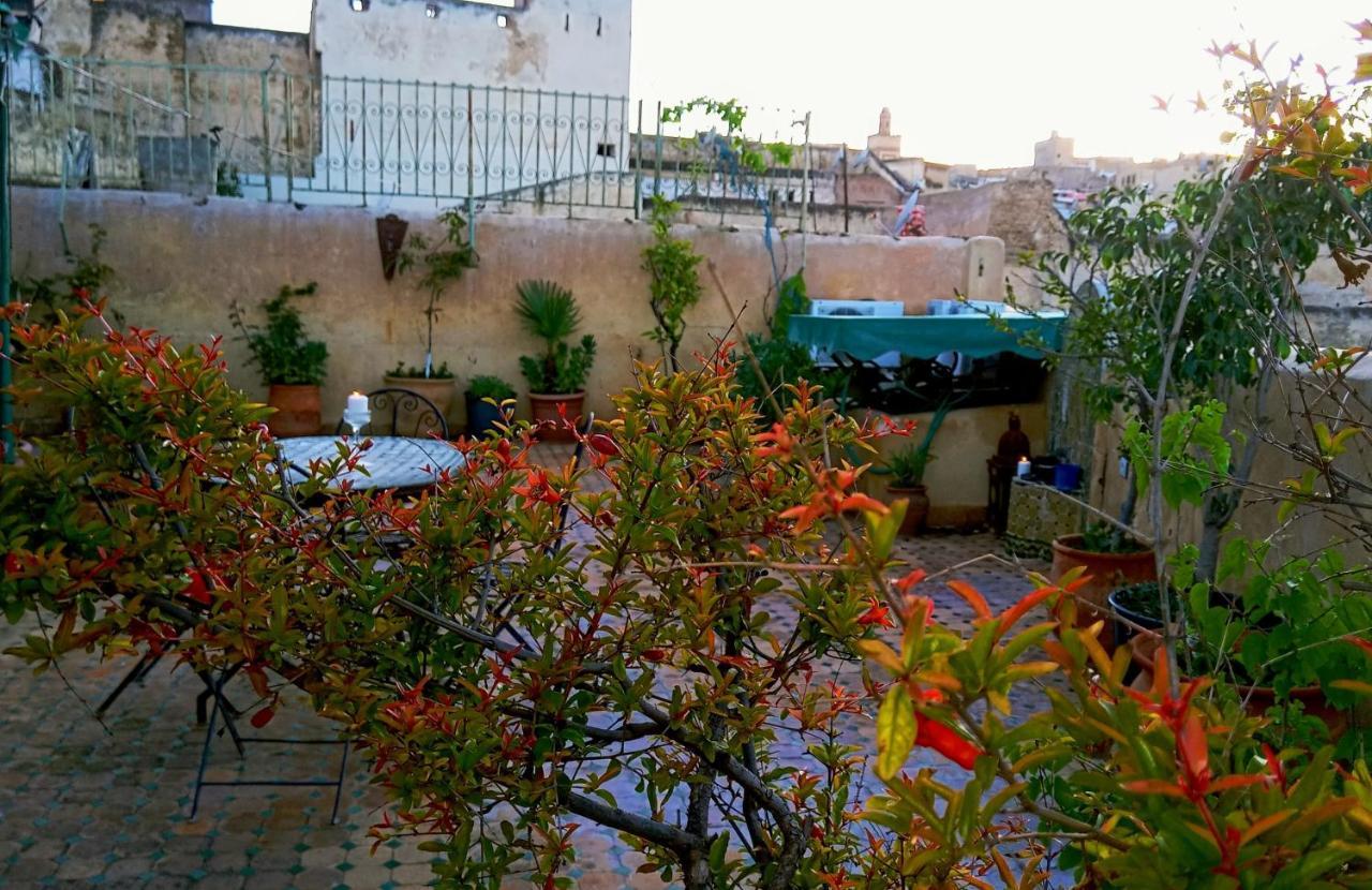 Riad Rchacha フェズ エクステリア 写真